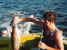 Yellow fin