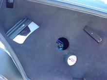 left side trunk.JPG