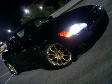 Gold GTNs