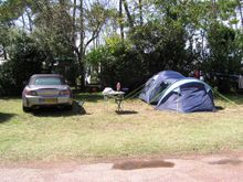 P1010003.JPG