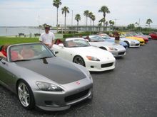Tarpon 044 small.jpg