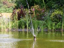 image362.jpg