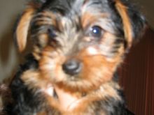 Picture 018.jpg