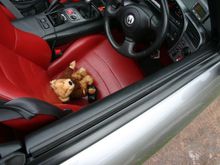 image009.jpg