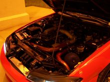 100_0369.JPG
