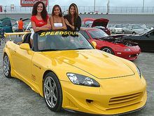 new spa yellow