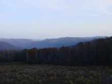 Dsc02769.jpg