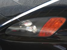 IMG_0019.JPG