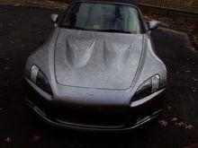 larger0002.jpg