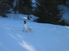 IMG_0016.jpg