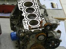 P1020570 (Medium).JPG