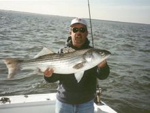 03 scott striper 6 x 4 .jpg