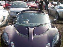 IMGP0911a.jpg