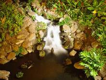 DSC00137-640.jpg