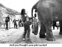 quitcomplainingaboutyourjob_1.jpg