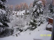 Snow March 2006 336.jpg