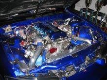 IMG_1877.jpg