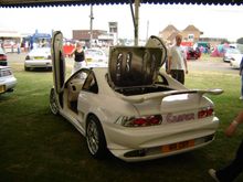 DSC01195.JPG