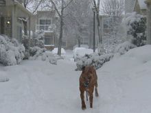First Snow