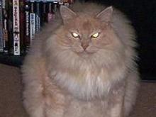 100_0248.JPG