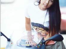 red021.jpg
