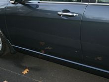 IMG_3013.JPG