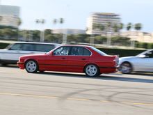 IMG_2295 small.jpg