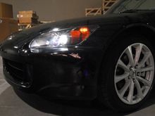 TRE_0204.JPG