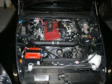 IMGP0009.JPG