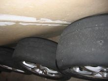 IMG_5517a.jpg
