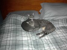 DSC00001.jpg