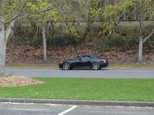 DSC01597.JPG