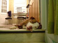 DSC00058.JPG