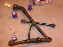 IMG_0008 (Medium).JPG