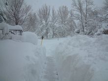 Frontwalkway_3-19-03.JPG