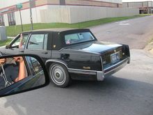 Picture 113.jpg
