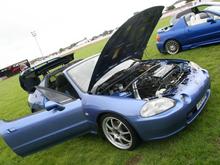 IMG_0025 (Large).JPG