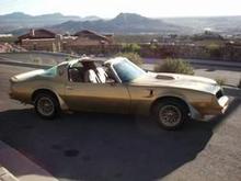 trans am gold 1.jpg