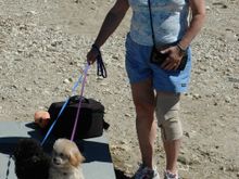 DSC_0767.JPG