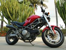 duc