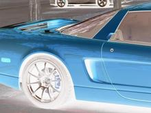 DSC_6355 071117 NSX inverted color back.JPG