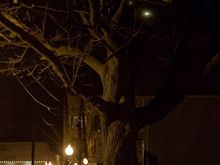 DSC_3416-12.jpg