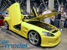 YELLOWS20003.jpg