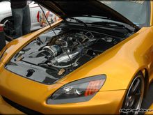 dsc8864a1fr.jpg