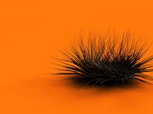 00971_orangechaos_1680x1050.jpg