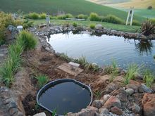 Pond Makeover 2008-03-04_12.JPG