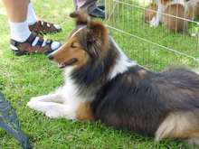 DSC00031.JPG