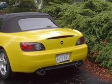 Tint 2.jpg