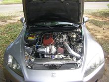 IMGP0316.JPG