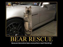 Poster Bear.jpg